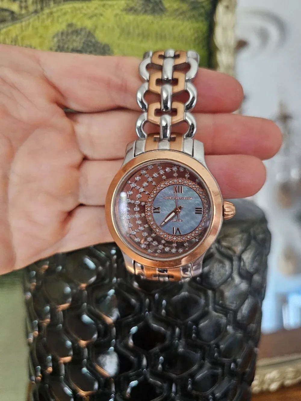 Christian van Sant Watch